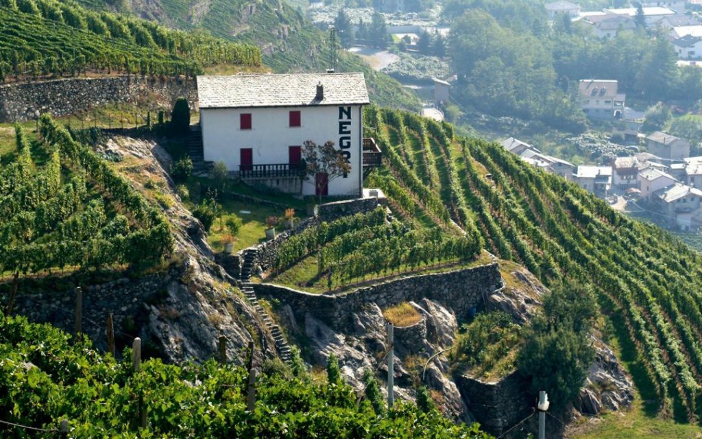 valtellina tasting wine