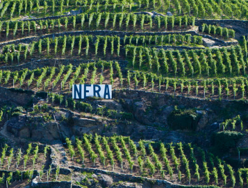 valtellina tasting wine